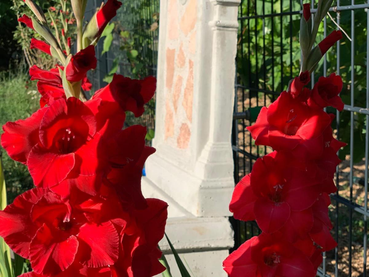 Вилла Casa Botanica Благай Экстерьер фото